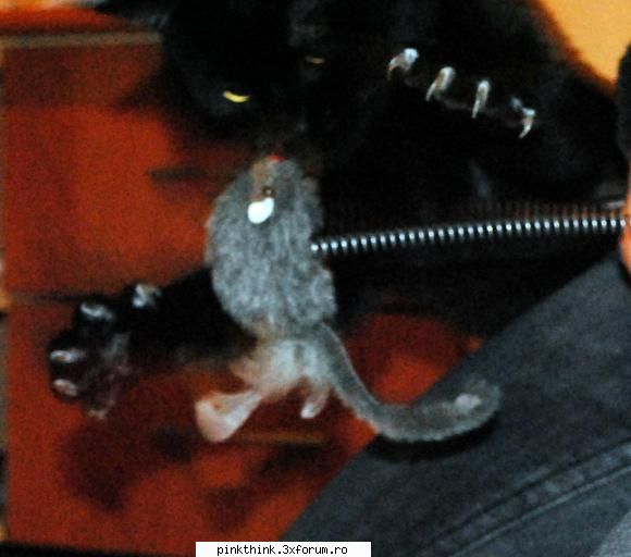 Pets! - Fiare! Sunt toate niste fiare! :-)) Sa va arat - PINK HOT KINKY PEPPERS