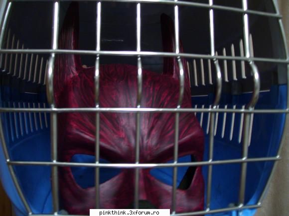 Pinky, say cheese!!! - batman - PINK HOT KINKY PEPPERS