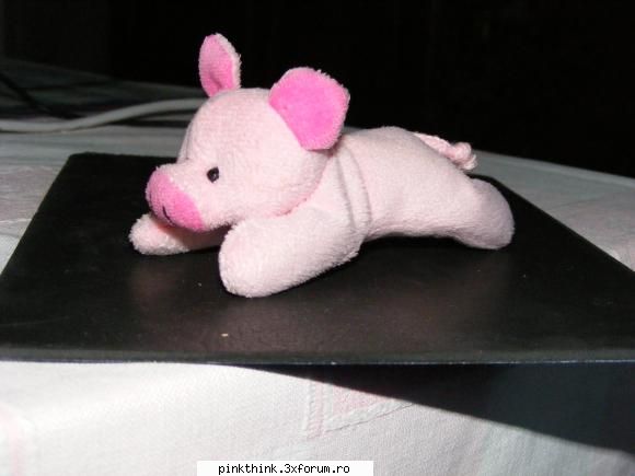 Pinky, say cheese!!! - ceva pink pt concurs - PINK HOT KINKY PEPPERS